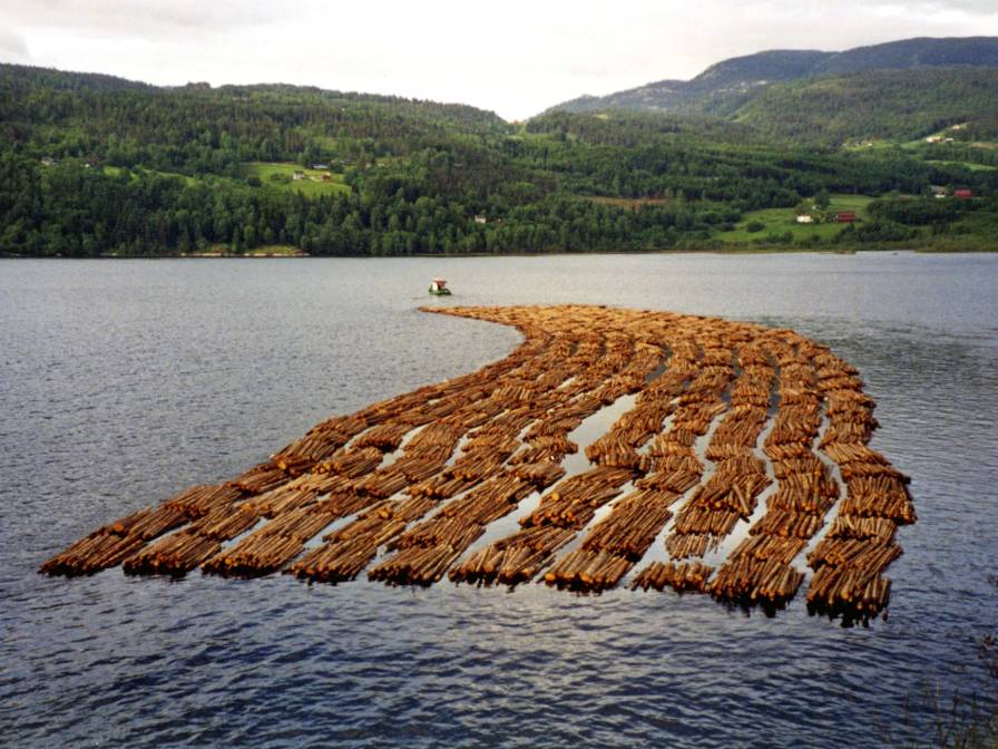 Tømmerfløting 2001 Heddalsvannet 